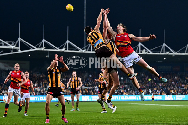 AFL 2025 Round 14 - Hawthorn v Adelaide - A-60011876