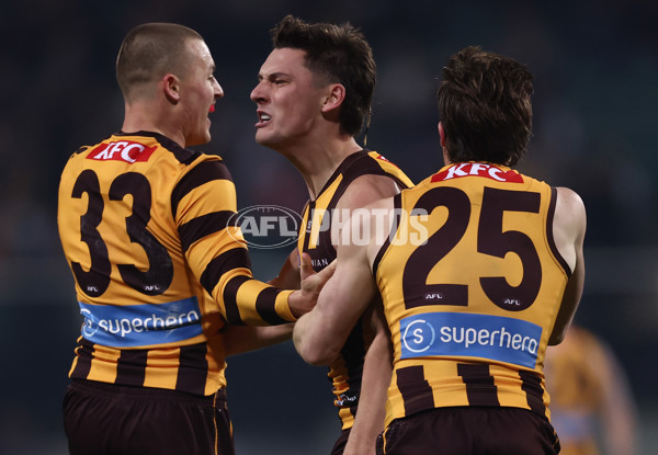 AFL 2025 Round 14 - Hawthorn v Adelaide - A-60012484