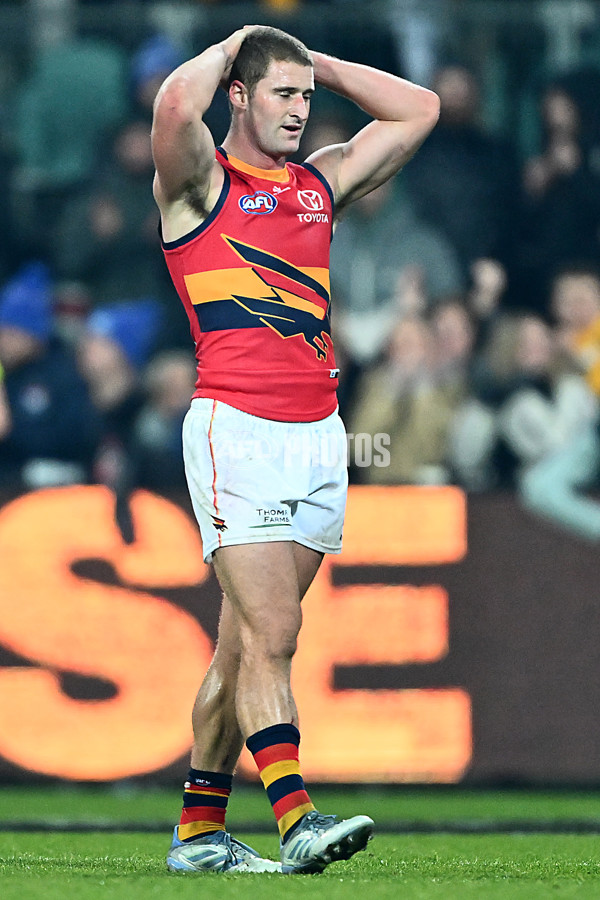 AFL 2025 Round 14 - Hawthorn v Adelaide - A-60012505