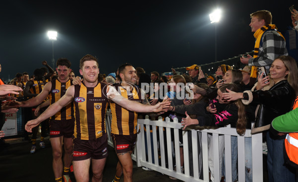 AFL 2025 Round 14 - Hawthorn v Adelaide - A-60012510