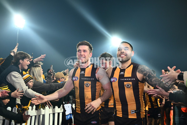 AFL 2025 Round 14 - Hawthorn v Adelaide - A-60012517