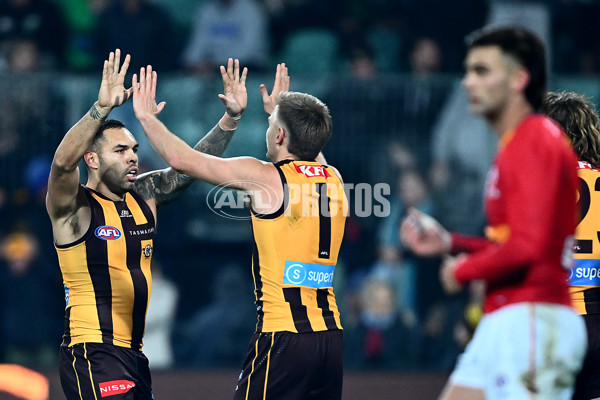AFL 2025 Round 14 - Hawthorn v Adelaide - A-60012527