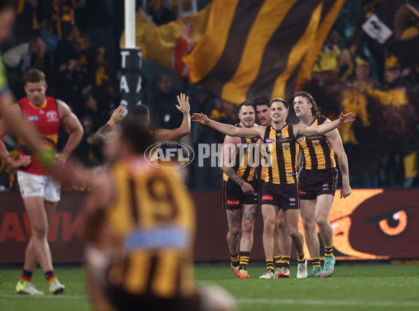 AFL 2025 Round 14 - Hawthorn v Adelaide - A-60012532