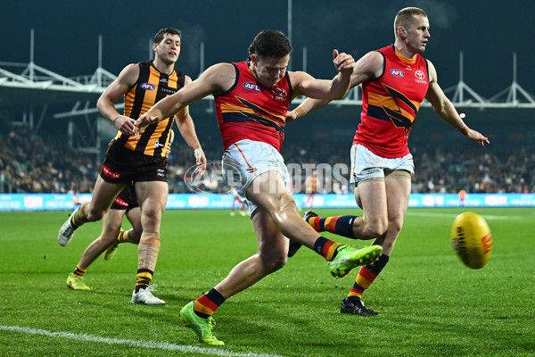 AFL 2025 Round 14 - Hawthorn v Adelaide - A-60012553