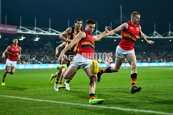 AFL 2025 Round 14 - Hawthorn v Adelaide - A-60012554
