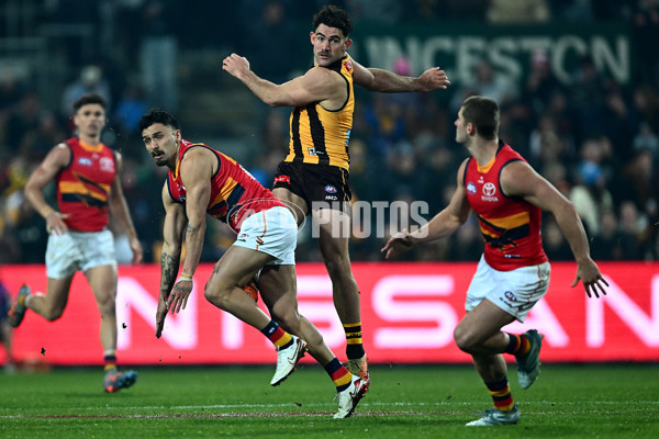 AFL 2025 Round 14 - Hawthorn v Adelaide - A-60015112