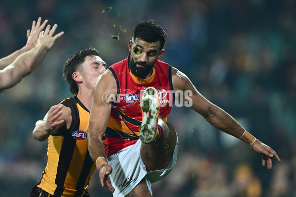 AFL 2025 Round 14 - Hawthorn v Adelaide - A-60015113