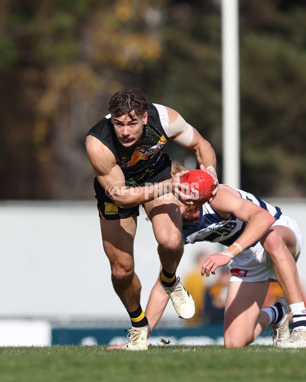 VFL 2025 Round 12 - Werribee v Geelong Cats - A-60015636