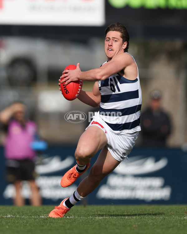 VFL 2025 Round 12 - Werribee v Geelong Cats - A-60015641