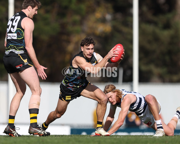 VFL 2025 Round 12 - Werribee v Geelong Cats - A-60015644