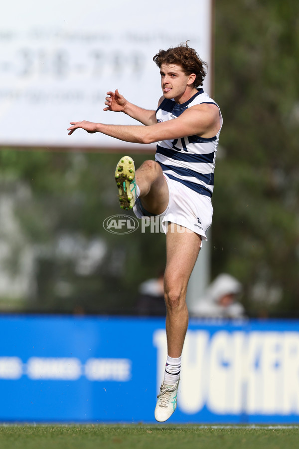 VFL 2025 Round 12 - Werribee v Geelong Cats - A-60015646