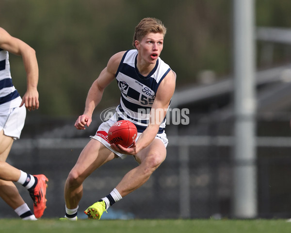 VFL 2025 Round 12 - Werribee v Geelong Cats - A-60018239