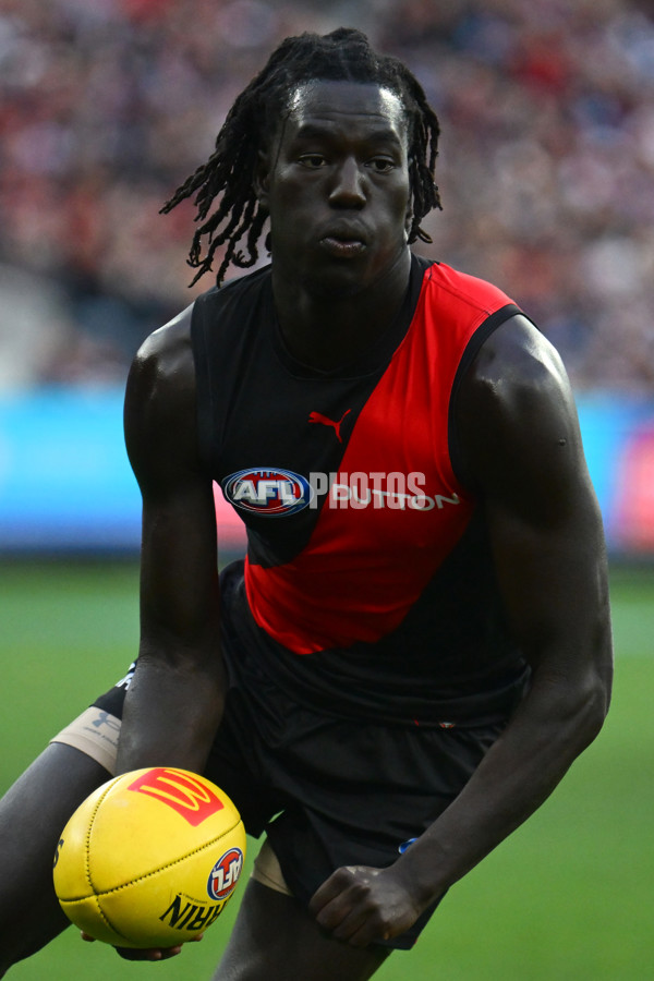 AFL 2025 Round 14 - Essendon v Geelong - A-60026133