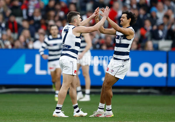 AFL 2025 Round 14 - Essendon v Geelong - A-60026164