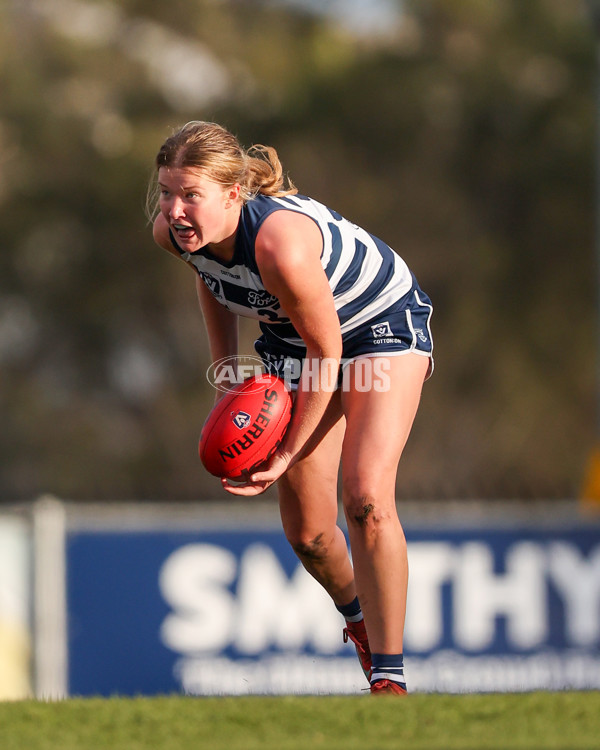VFLW 2025 Round 08 - North Melbourne v Geelong Cats - A-60028356