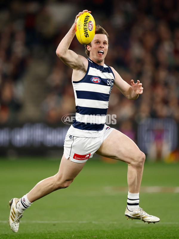 AFL 2025 Round 14 - Essendon v Geelong - A-60028420