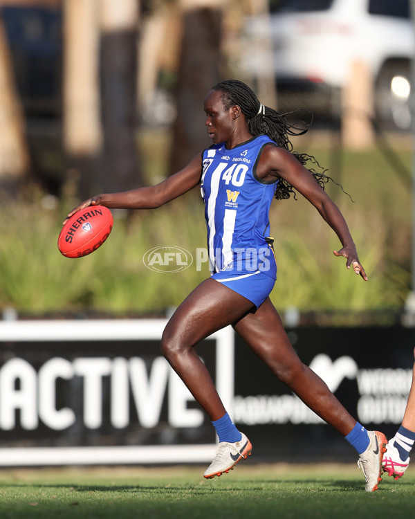 VFLW 2025 Round 08 - North Melbourne v Geelong Cats - A-60028752