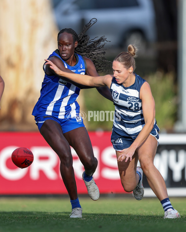 VFLW 2025 Round 08 - North Melbourne v Geelong Cats - A-60028768