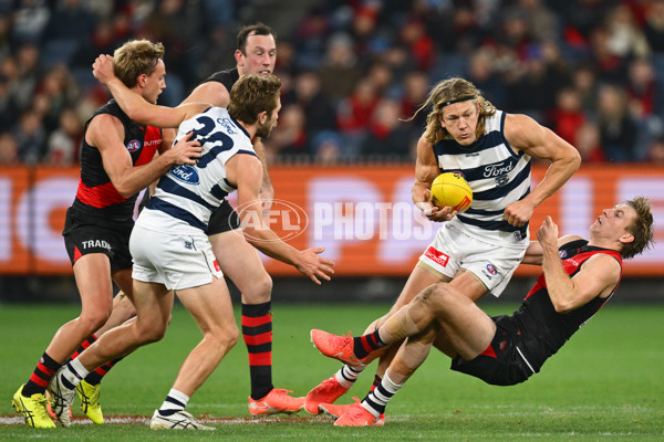 AFL 2025 Round 14 - Essendon v Geelong - A-60028792