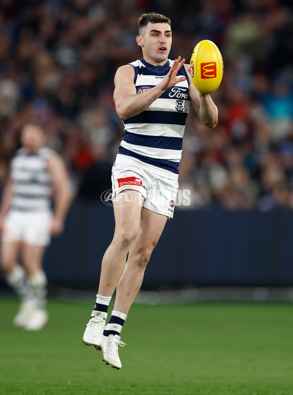 AFL 2025 Round 14 - Essendon v Geelong - A-60031301