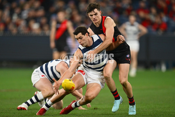 AFL 2025 Round 14 - Essendon v Geelong - A-60031592