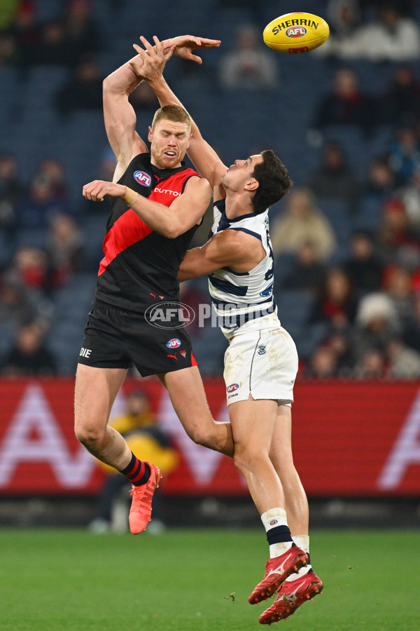 AFL 2025 Round 14 - Essendon v Geelong - A-60031638