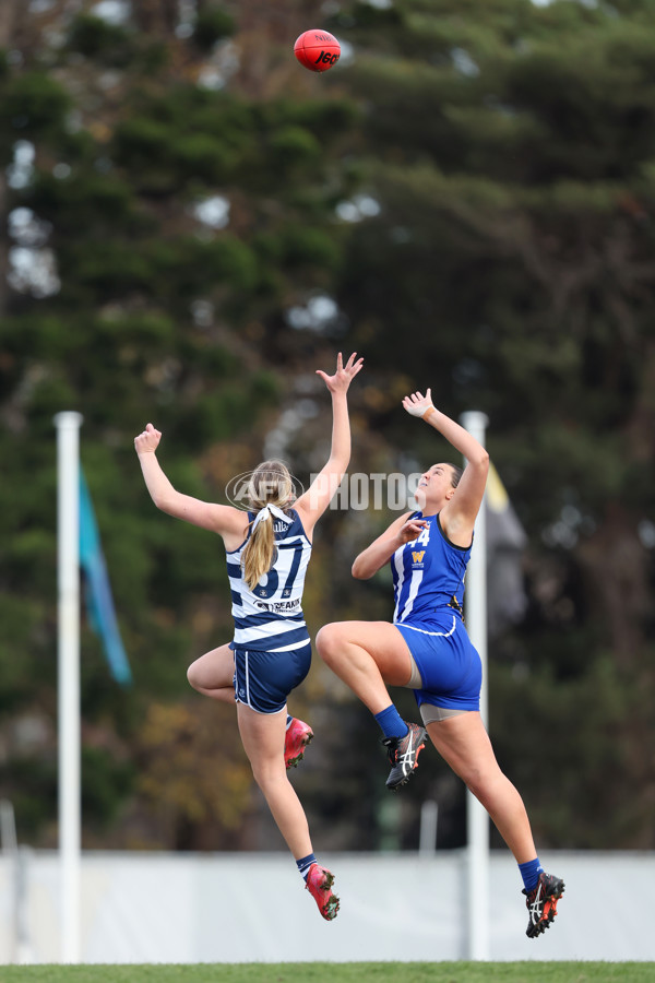 VFLW 2025 Round 08 - North Melbourne v Geelong Cats - A-60034159