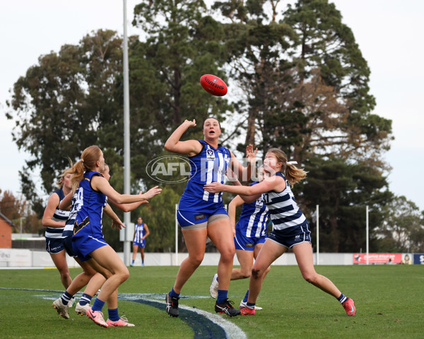 VFLW 2025 Round 08 - North Melbourne v Geelong Cats - A-60034166