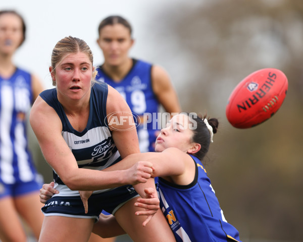 VFLW 2025 Round 08 - North Melbourne v Geelong Cats - A-60034167