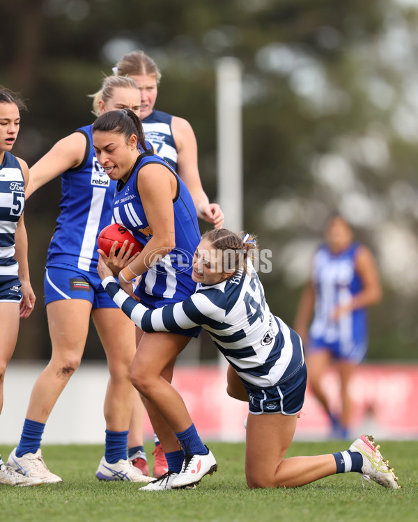 VFLW 2025 Round 08 - North Melbourne v Geelong Cats - A-60034465