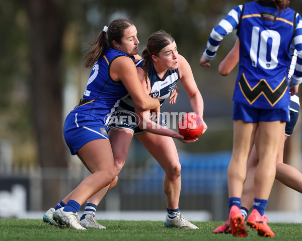 VFLW 2025 Round 08 - North Melbourne v Geelong Cats - A-60034475