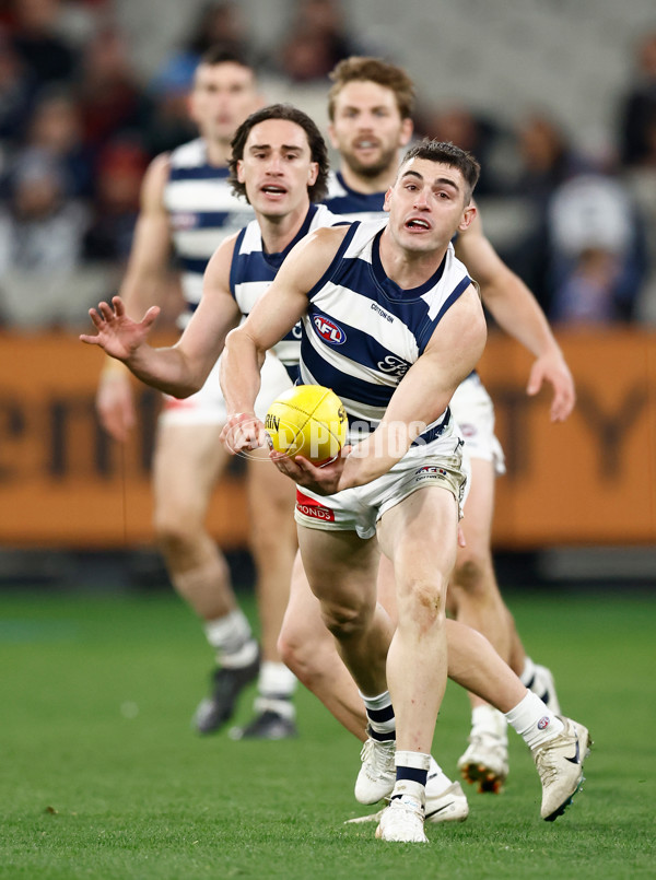 AFL 2025 Round 14 - Essendon v Geelong - A-60037084