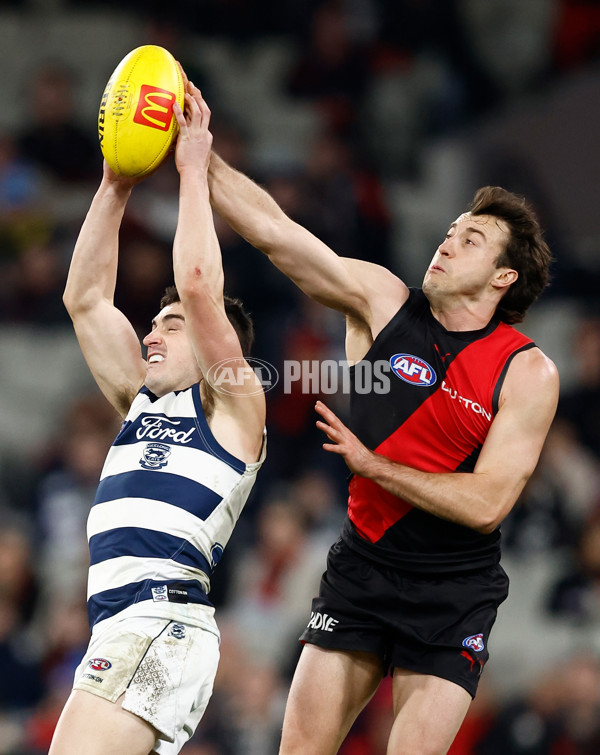 AFL 2025 Round 14 - Essendon v Geelong - A-60037085
