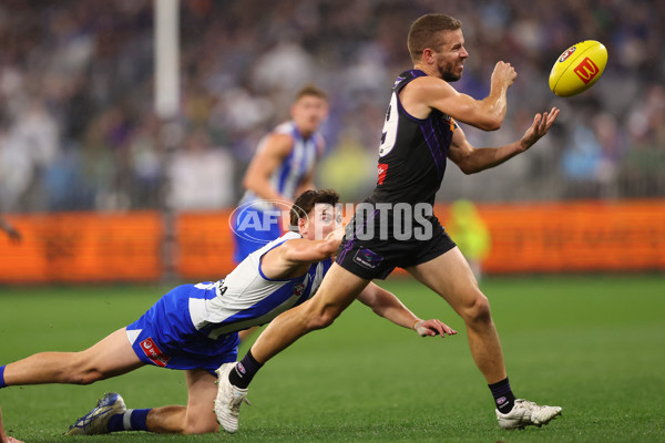 AFL 2025 Round 14 - North Melbourne v Fremantle - A-60041845