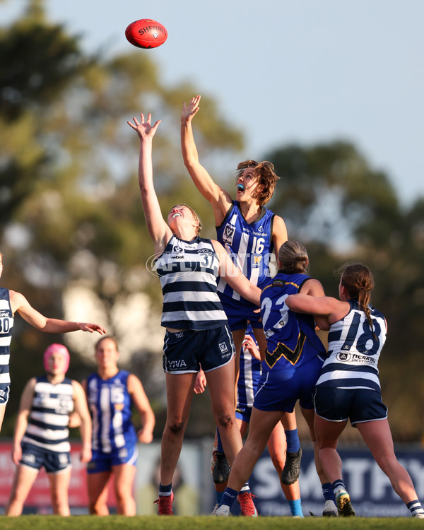VFLW 2025 Round 08 - North Melbourne v Geelong Cats - A-60044801