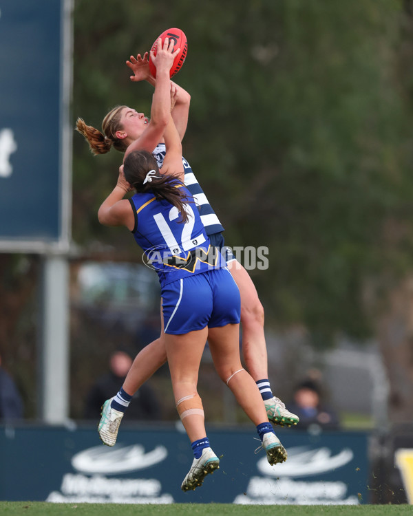 VFLW 2025 Round 08 - North Melbourne v Geelong Cats - A-60046453