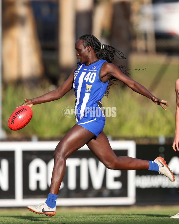 VFLW 2025 Round 08 - North Melbourne v Geelong Cats - A-60046479