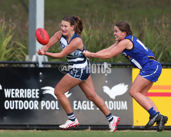 VFLW 2025 Round 08 - North Melbourne v Geelong Cats - A-60047535