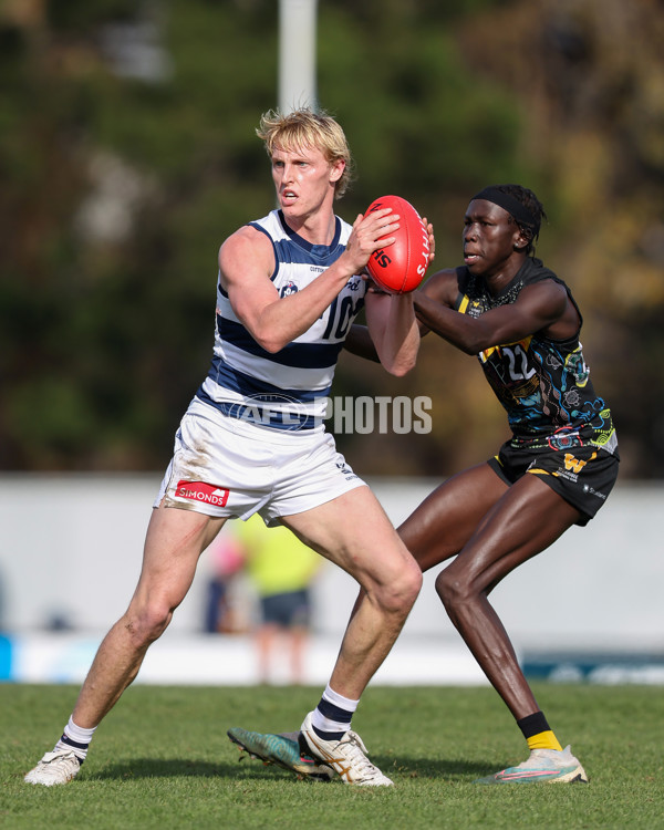 VFL 2025 Round 12 - Werribee v Geelong Cats - A-60049111
