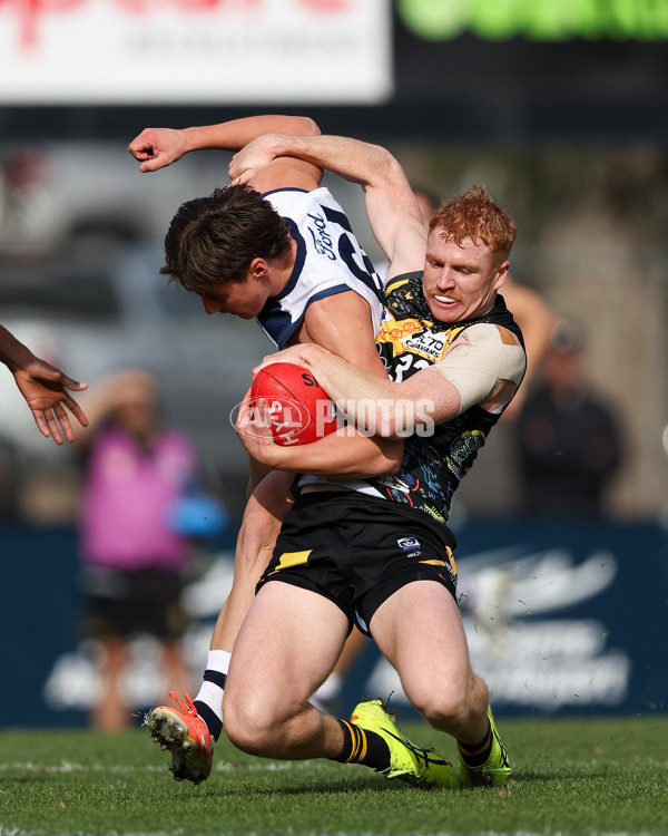 VFL 2025 Round 12 - Werribee v Geelong Cats - A-60049113