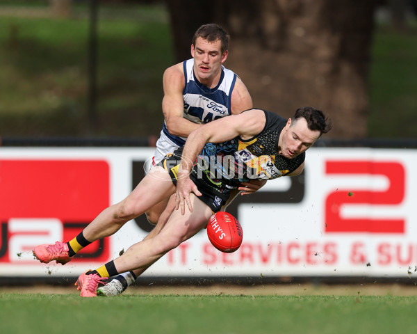 VFL 2025 Round 12 - Werribee v Geelong Cats - A-60049134