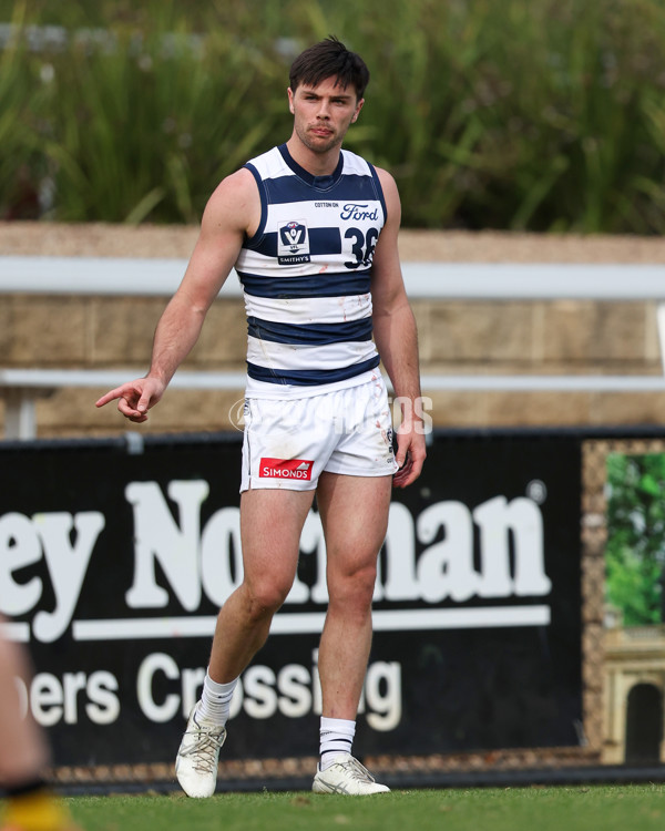 VFL 2025 Round 12 - Werribee v Geelong Cats - A-60049135