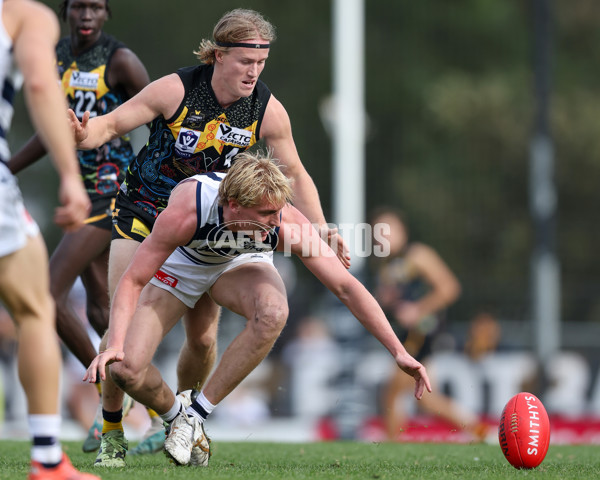 VFL 2025 Round 12 - Werribee v Geelong Cats - A-60049136