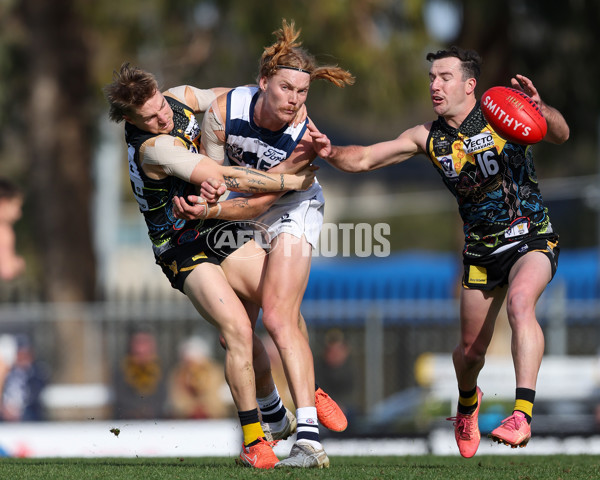 VFL 2025 Round 12 - Werribee v Geelong Cats - A-60050086