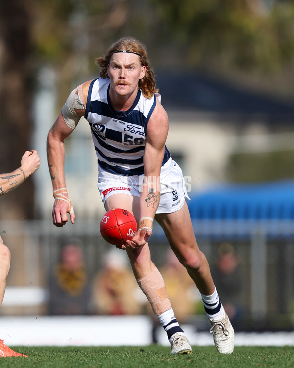 VFL 2025 Round 12 - Werribee v Geelong Cats - A-60050089