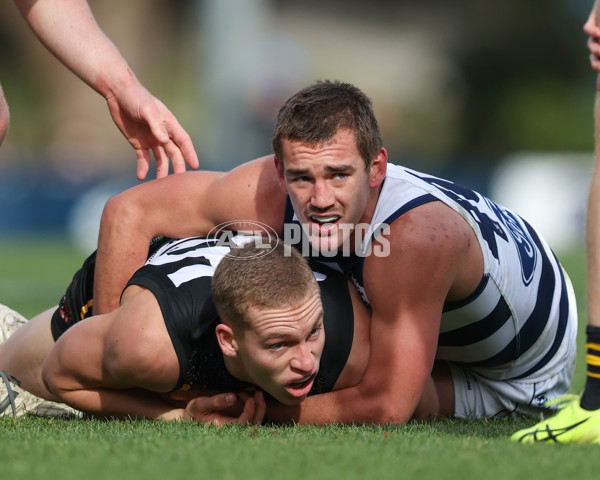 VFL 2025 Round 12 - Werribee v Geelong Cats - A-60050091