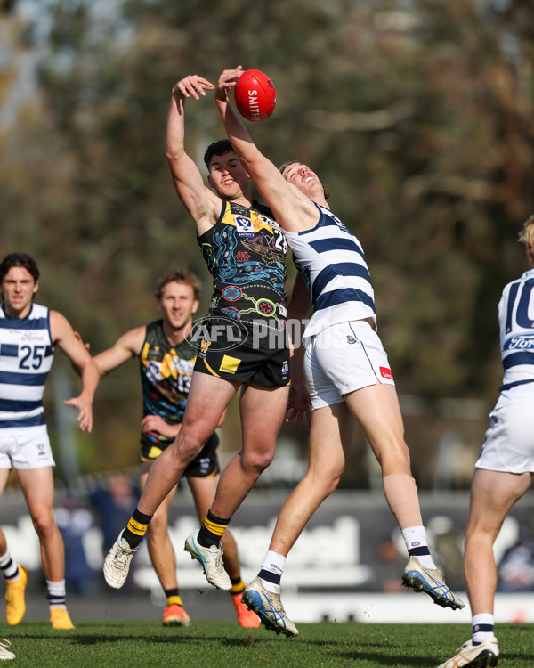 VFL 2025 Round 12 - Werribee v Geelong Cats - A-60050092