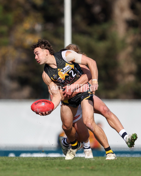 VFL 2025 Round 12 - Werribee v Geelong Cats - A-60050093