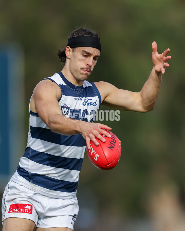 VFL 2025 Round 12 - Werribee v Geelong Cats - A-60050094