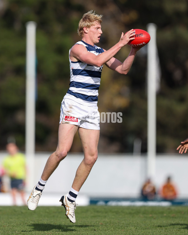 VFL 2025 Round 12 - Werribee v Geelong Cats - A-60050095